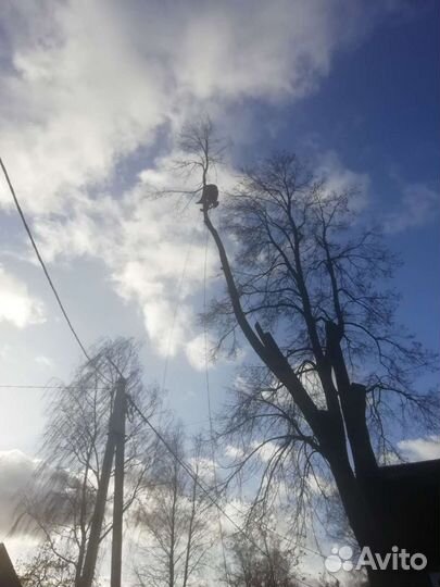 Удаление деревьев