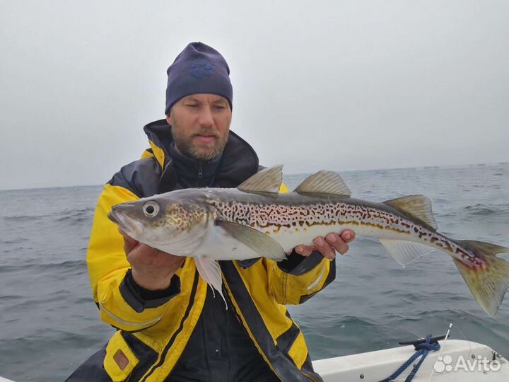 Морская рыбалка. Морская рыбалка на Камчатке