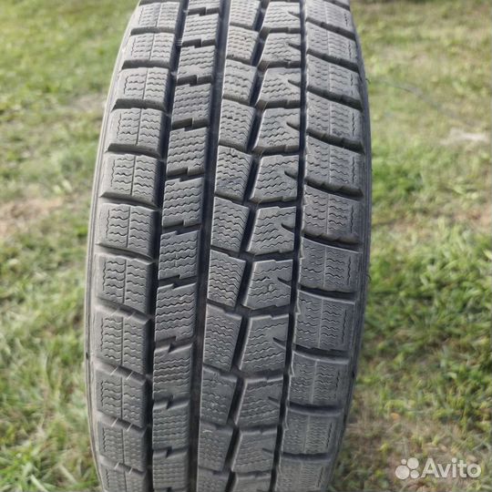 Dunlop Winter Maxx 175/65 R15