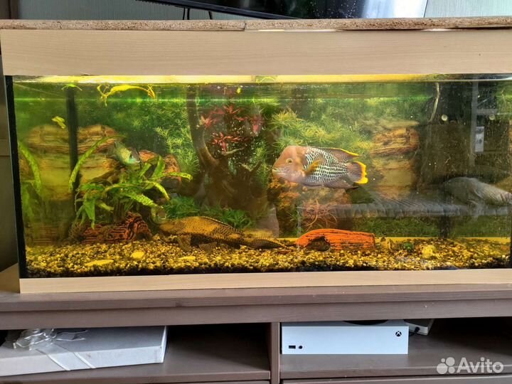 Аквариум 200 л. с рыбками и фильтром