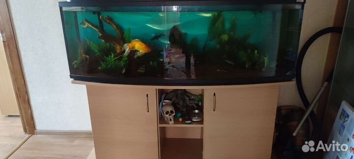 Продам аквариум акваэль 350л. полный комплект