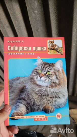 Сибирская кошка Федорова