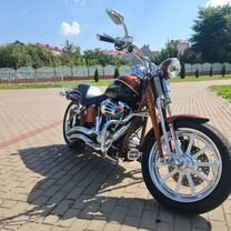 2008 Harley Davidson Softail Springer 105 years