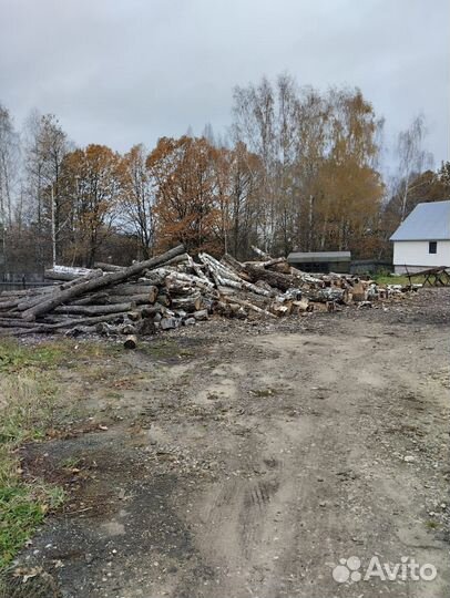 Продать дрова береза
