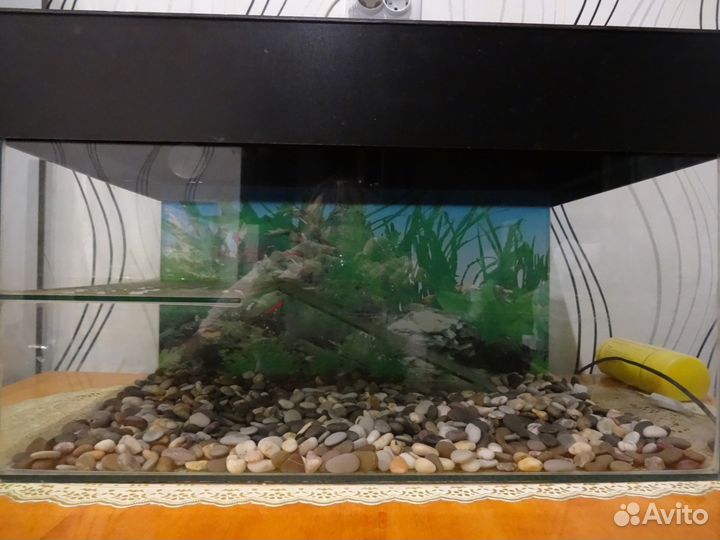 Акватеррариум