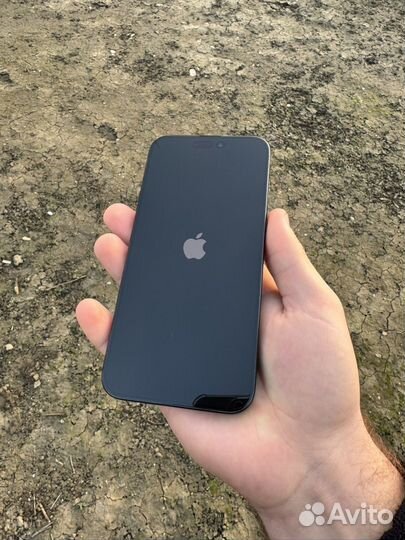 iPhone 15 Pro Max, 256 ГБ