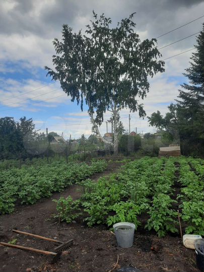 Дача 20 м² на участке 5 сот.