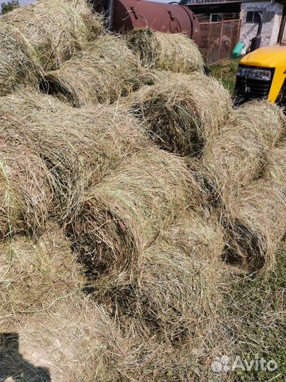 Сено в мини рулонах урожай 2024 года