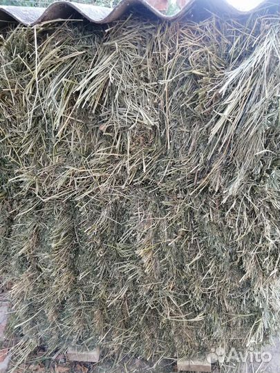 Сено в квадратных тюках