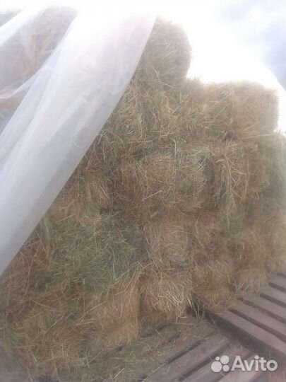 Тюковое сено