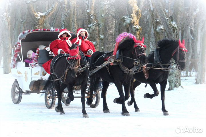 Костюм накидка для кучера Санта-Клаус