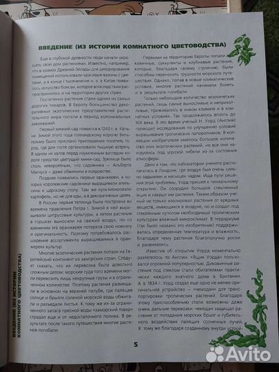 Книга Энциклопедия комнатных растений