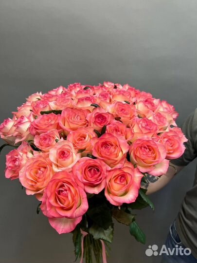 Свежие крупноголовые розы с доставкой. Роза 31-101