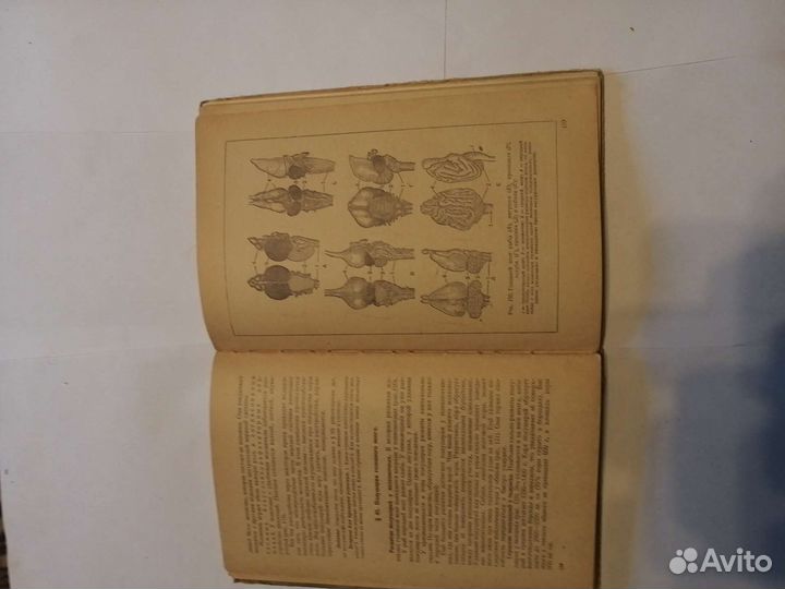 Анатомия и физиология человека учебник для 8 класс