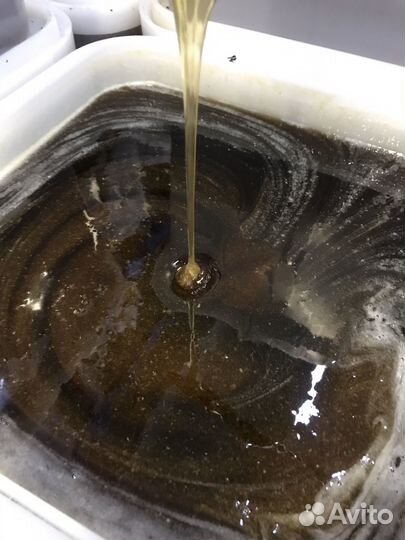 Гречишный мед 2024 оптом