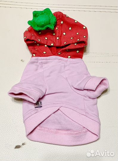 Одежда для маленькой собачки