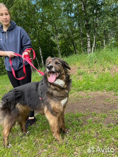 Ищем добрые ручки