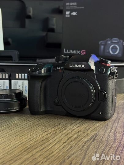 Panasonic gh5s + zhiyun crane 2 + спидбустер