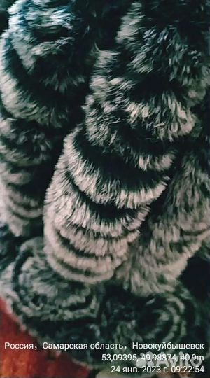 Шапка