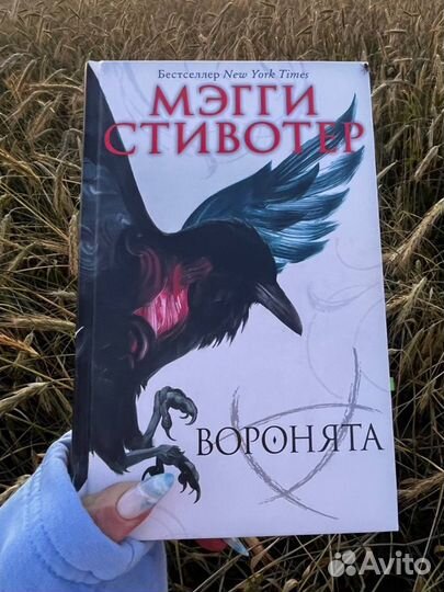 Книги Воронята, Ходячий замок, Дочь для волка