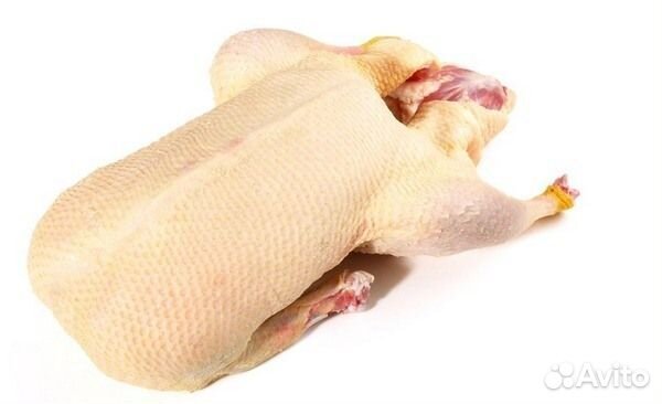 Утка домашняя мясо