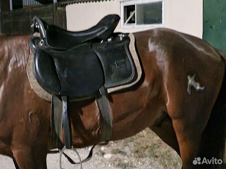 Седло престиж