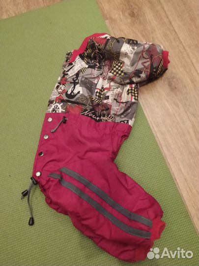 Одежда для собаки