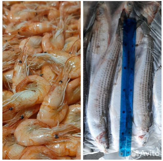 Живая рыба оптом