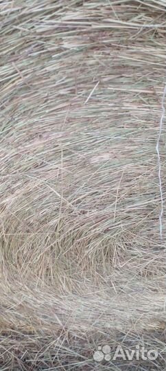 Сено в рулонах