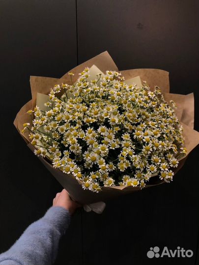 Букет из 31 ромашки