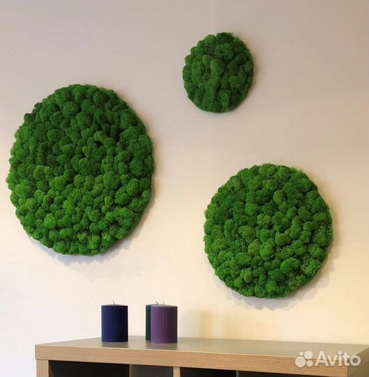 Мох Стабилизированный Круги Панно