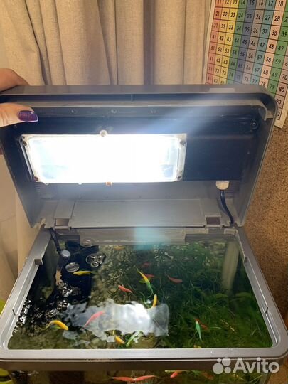 Аквариум 20 литров