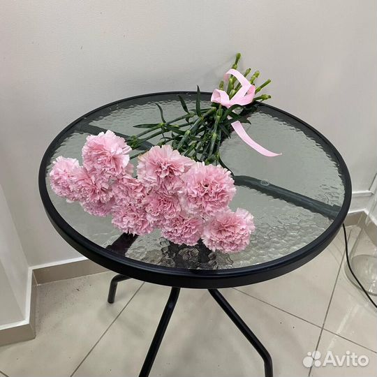 Прекрасная нежная гвоздика