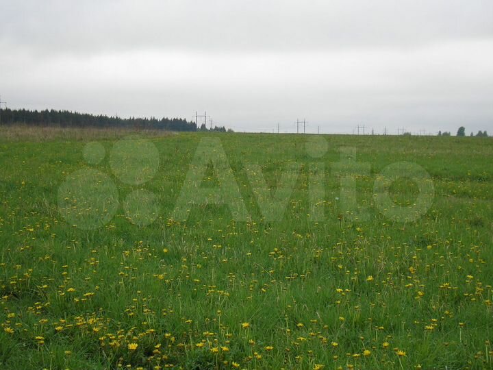 Участок 10 сот. (ИЖС)