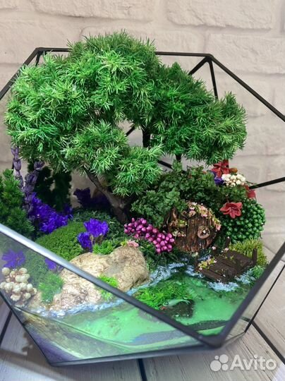 Моссариум Бонсай/ Декор из Мха/ Интерьер