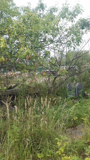 Дача 20 м² на участке 8 сот.