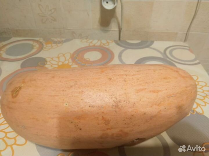 Семена тыквы сорт 