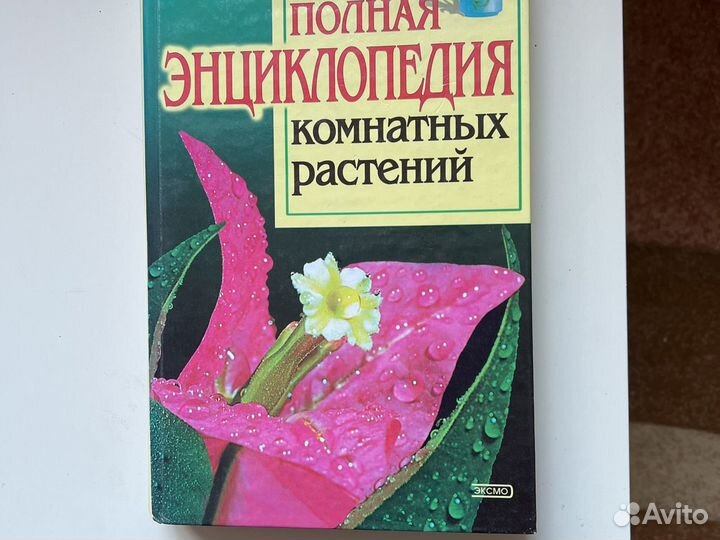 Книга о комнатных растениях