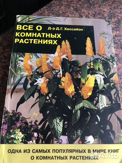 Все о комнатных растениях, о газоне и кустарниках
