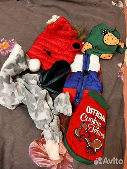 Одежда для собак (чихуахуа )