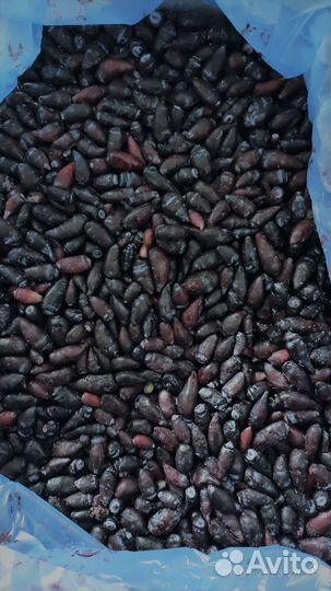 Жимолость ягоды (шоковая заморозка)