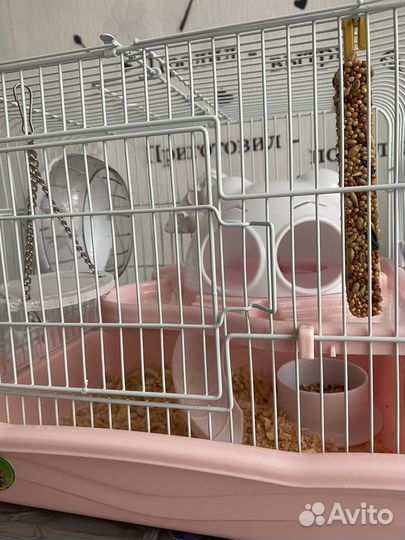 Хомяк с клеткой