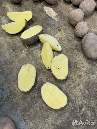 Продам картофель второй сорт. Урожай 2023