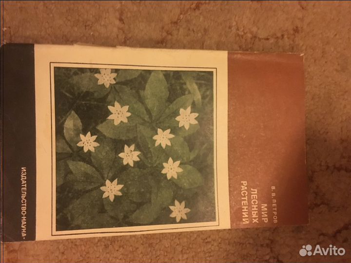 Книги о растениях, Мир лесных растений, Петров