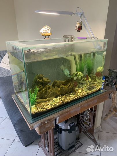 Аквариум с рыбками и фильтром