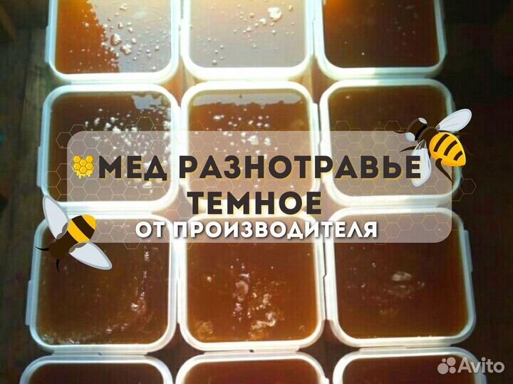 Свежий мед Разнотравье темное оптом