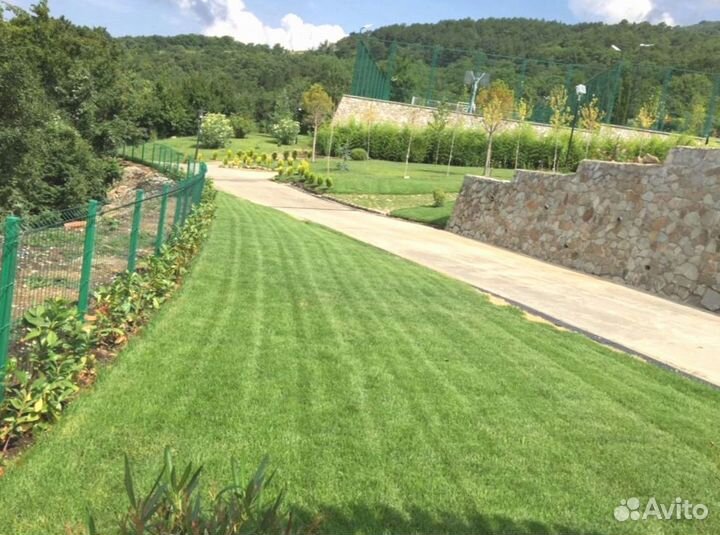 Рулонный газон