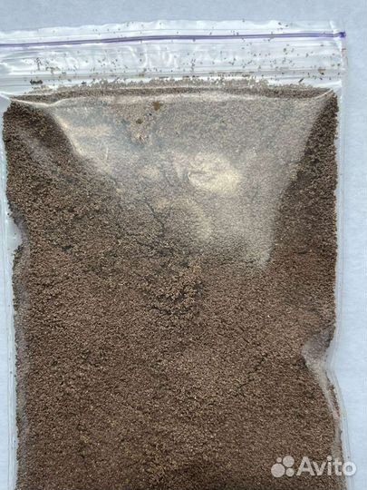 Цисты(яйца) артемии для мольков