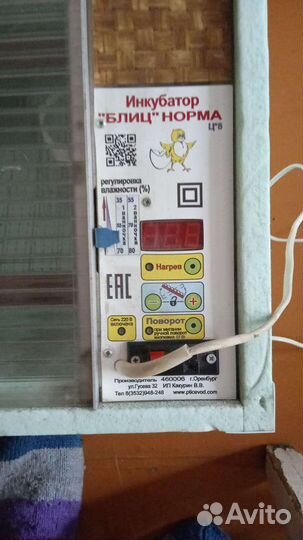 Инкубатор для яиц