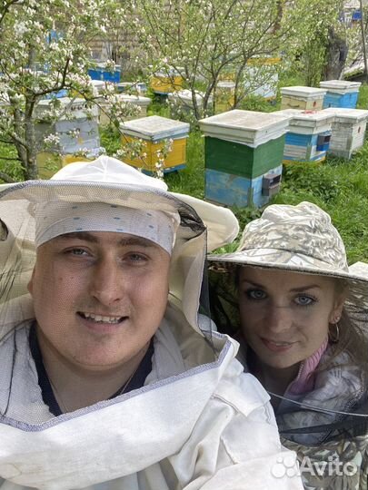 Перга пчелиная